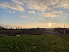 IMG_2384