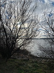 IMG_3009(1)