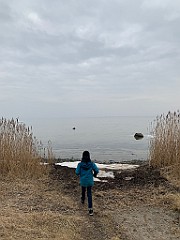 IMG_3942