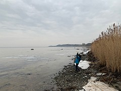IMG_3950