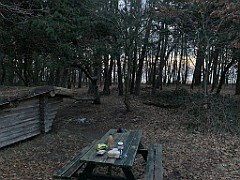 IMG_4011