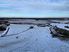IMG_3185(1)