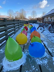 IMG_3487(4)