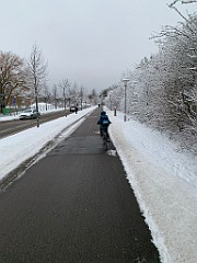 IMG_3704(1)