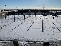 IMG_3455(2)
