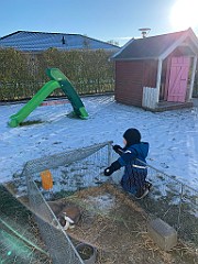 IMG_3475