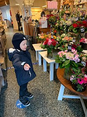 IMG_3650(1)