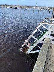 IMG_4251