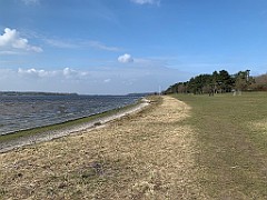 IMG_E4845