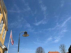 IMG_5113