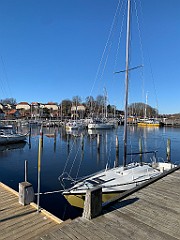 IMG_4432