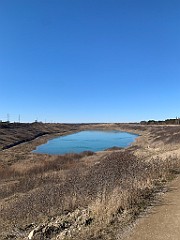 IMG_4433