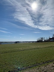 IMG_4695