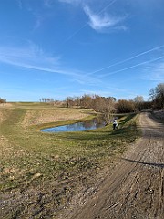 IMG_4266