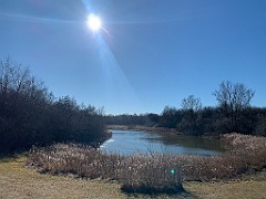 IMG_4361