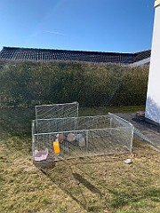 IMG_4658