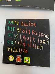IMG_5631