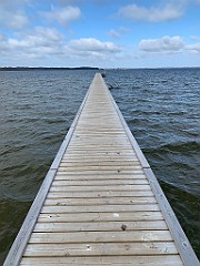 IMG_5221