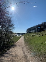 IMG_6046