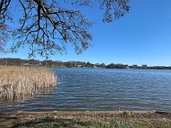 IMG_6048