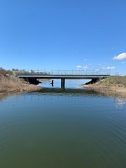 IMG_6151