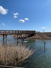 IMG_6159