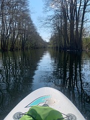IMG_6223