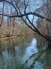 IMG_6227