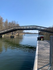 IMG_6230