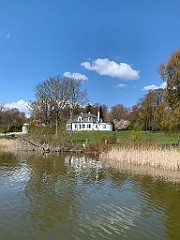 IMG_6234