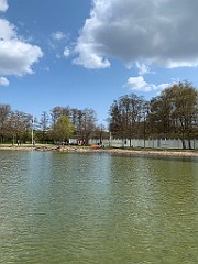 IMG_6242