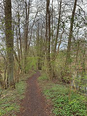 IMG_6245