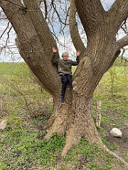 IMG_6250
