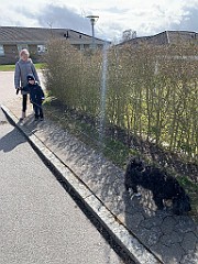 IMG_5637