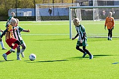 IMG_6105