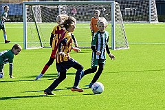 IMG_6106