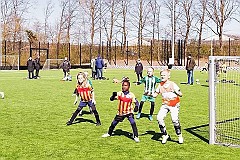IMG_6113