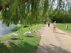 IMG_6964