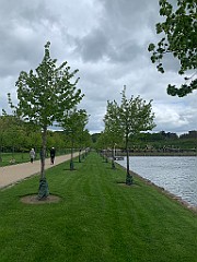 IMG_6992