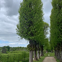 IMG_6999