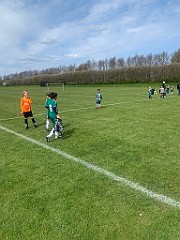 IMG_6342