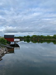 IMG_7170
