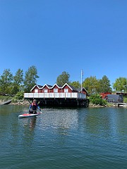 IMG_7248