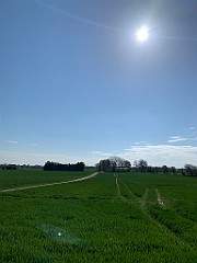 IMG_6570
