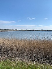 IMG_6572