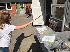IMG_7758