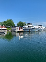 IMG_7778