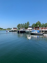 IMG_7779