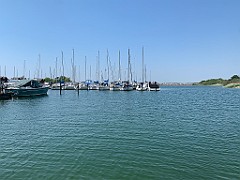 IMG_7786