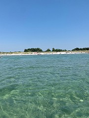 IMG_7790